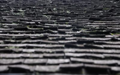 Signs of Roof Wear and Tear