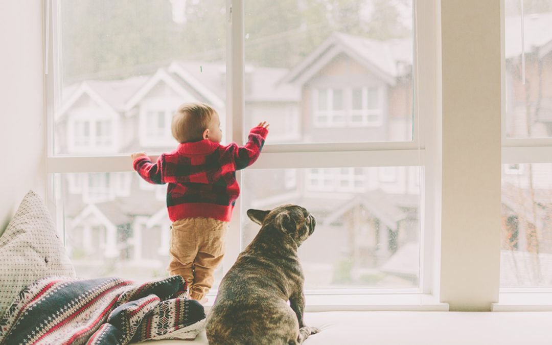 Get Your Windows Installed Before the Winter Months