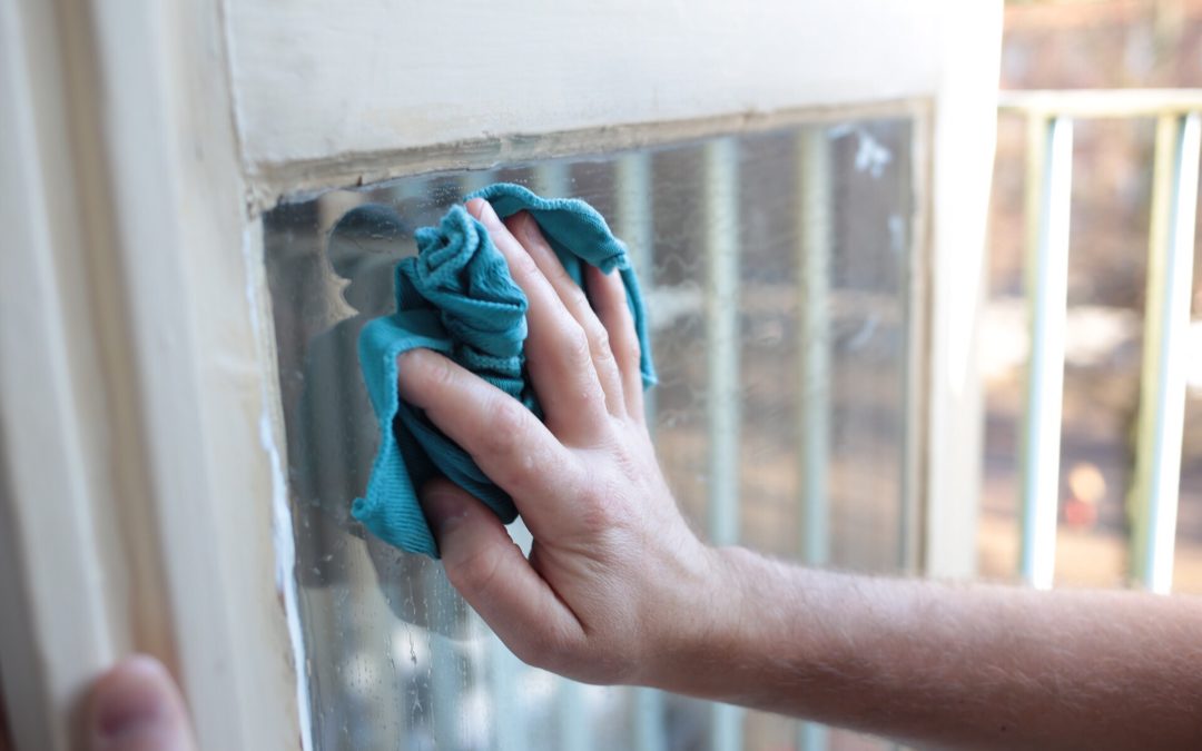 How Often Should You Inspect Your Windows for Signs of Problems?