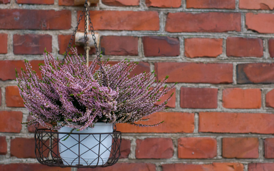 How Tuckpointing Can Make Your Old Brick House Look Young Again