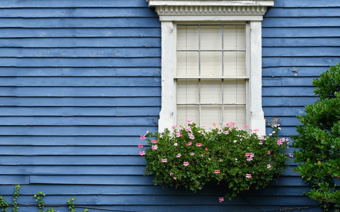 Are Windows Worth the Investment if You Plan to Sell?