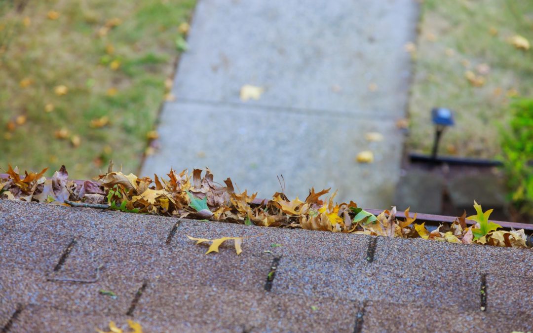 Do You Need to Replace Your Gutters Before Winter Hits?