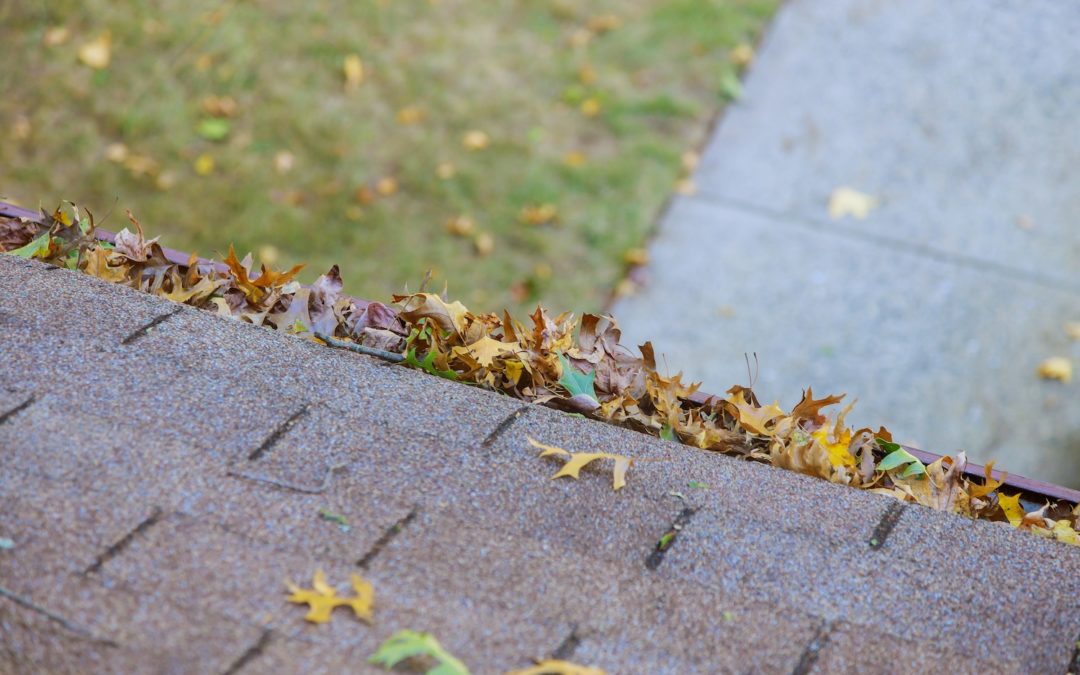 Tips For Cleaning Your Roof Without Damaging It