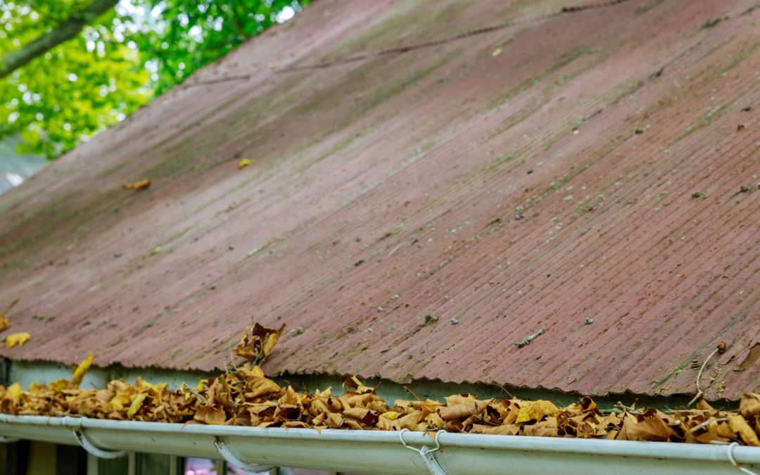 Why is Fall Such a Good Time to Check for Gutter Problems?