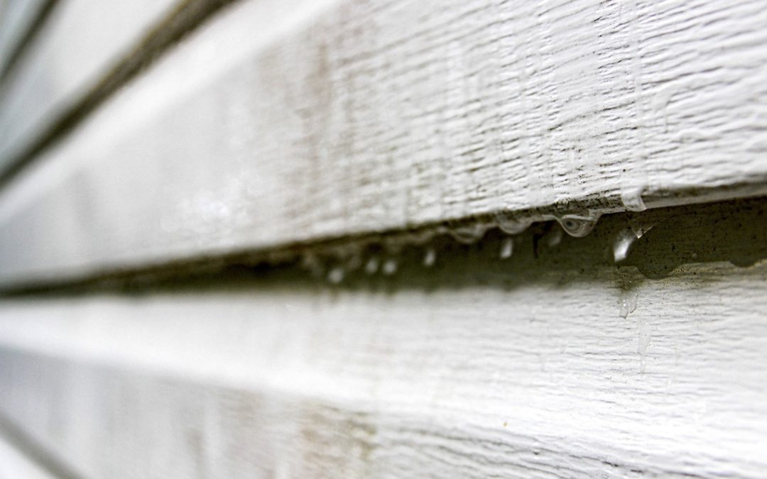 How To Spot Signs Of Mold In Or Around Your Siding