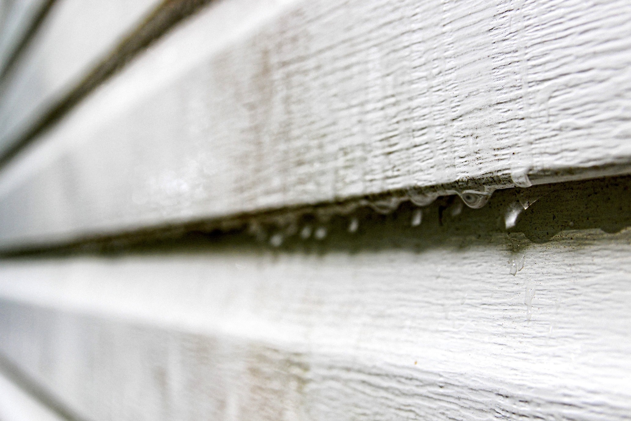 How To Spot Signs Of Mold In Or Around Your Siding Stanley Exteriors   Raindrops Dripping Down The Vinyl Siding Of A Home On A Rainy Day T20 PLBGpj 