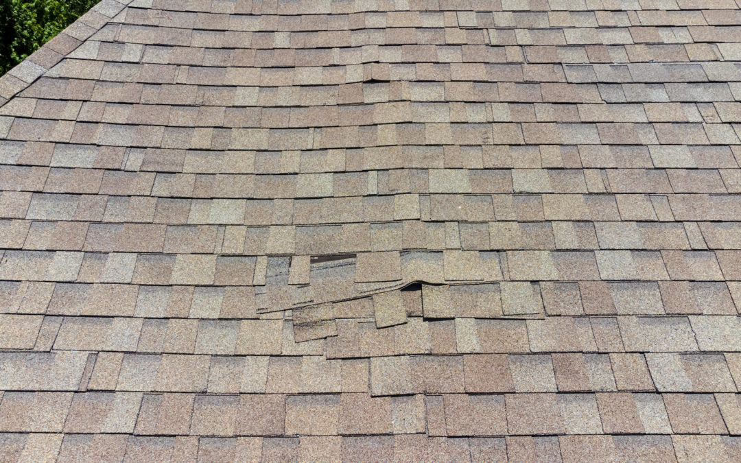 Signs You Have Trouble with Your Roof