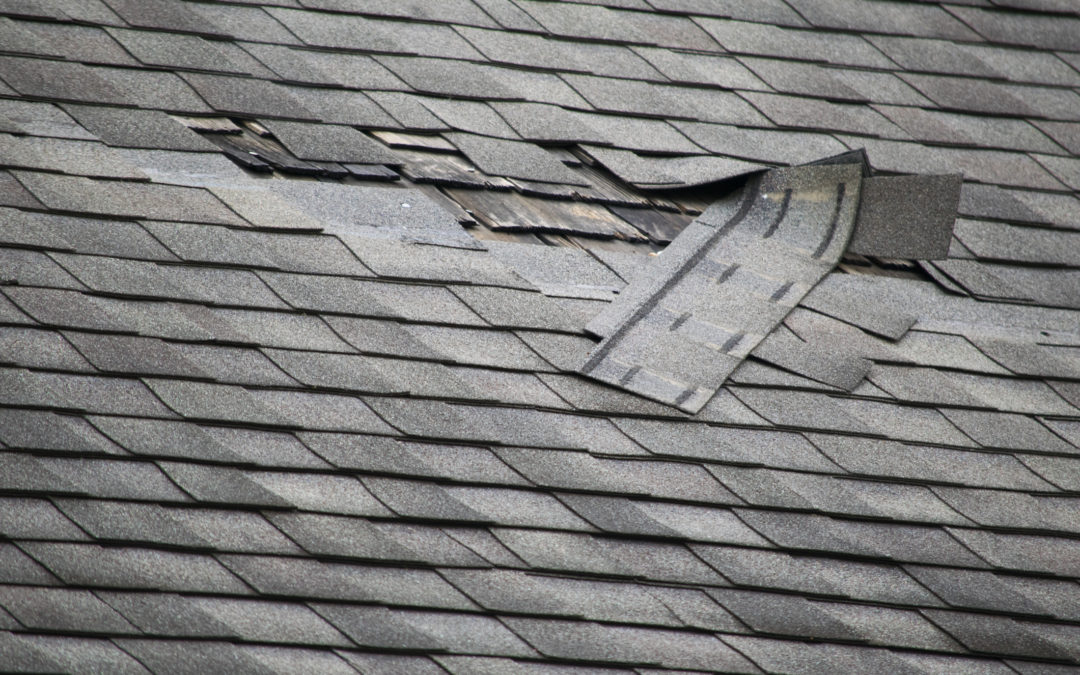 Signs of Roof Damage You Can’t Ignore