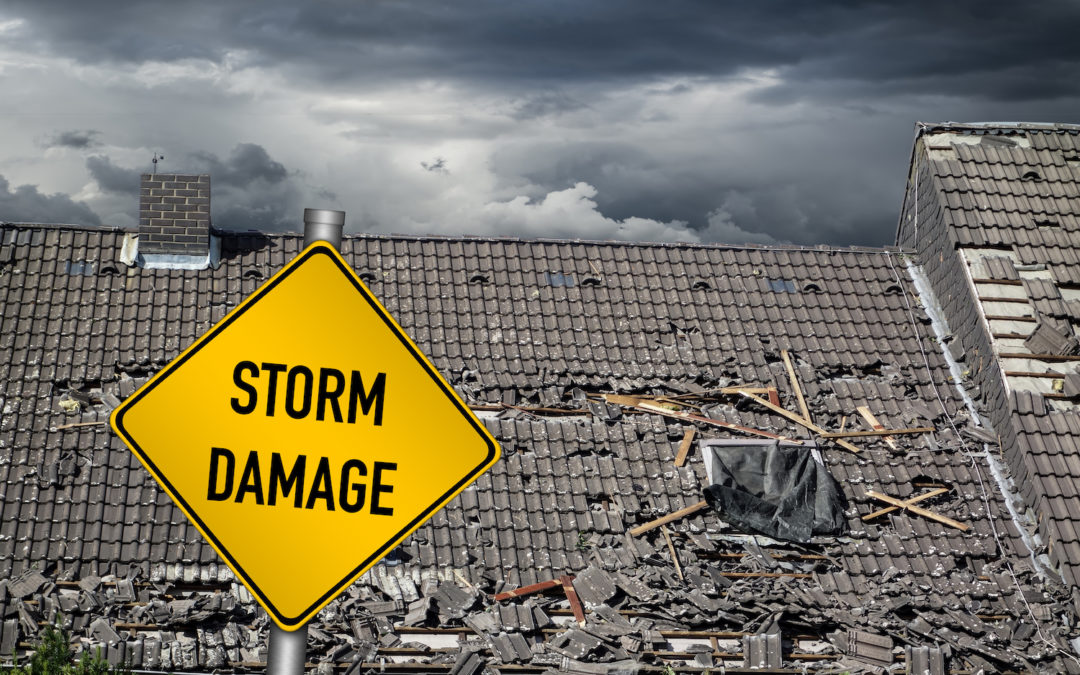 Signs That Your Roof Has Summer Damage